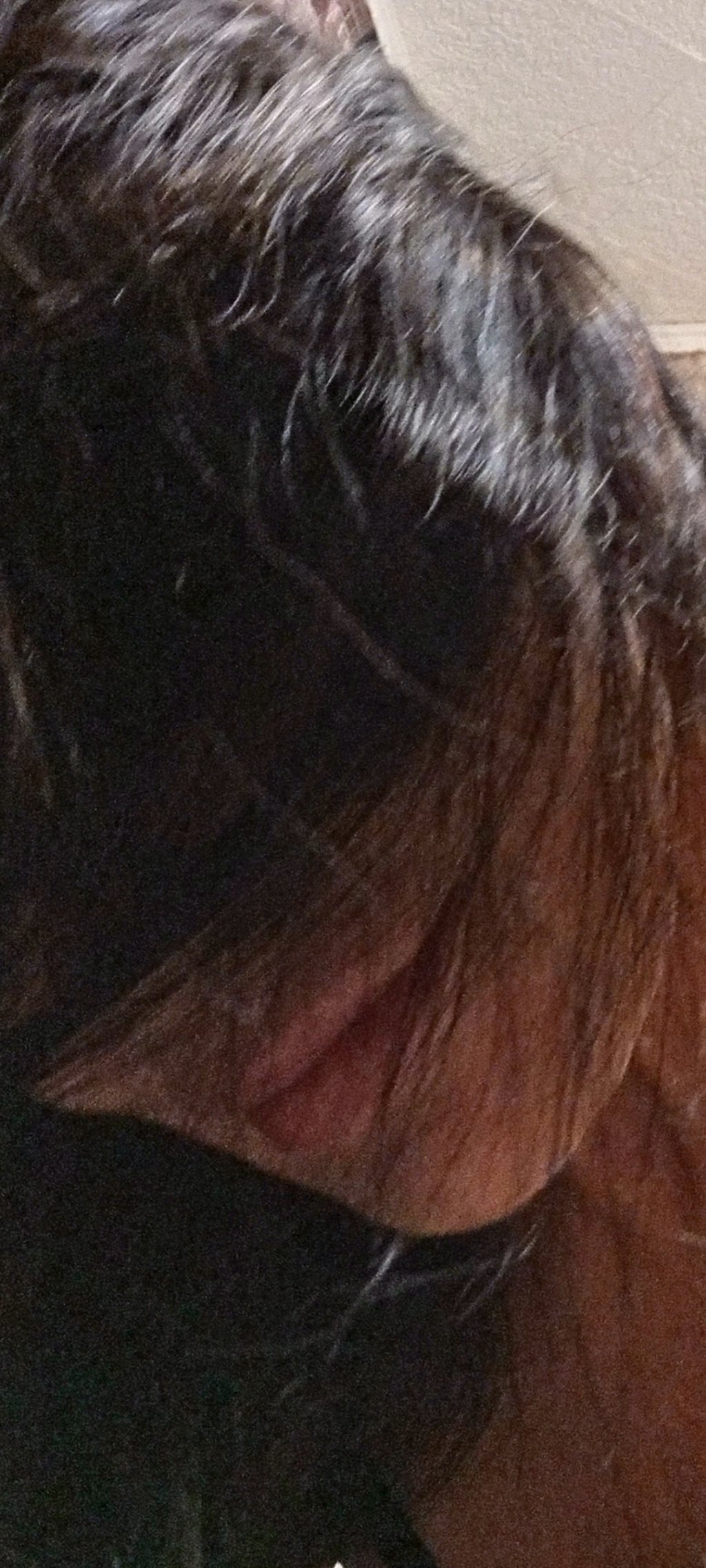 ДЕСЕРТ: проститутки индивидуалки в Челябинске